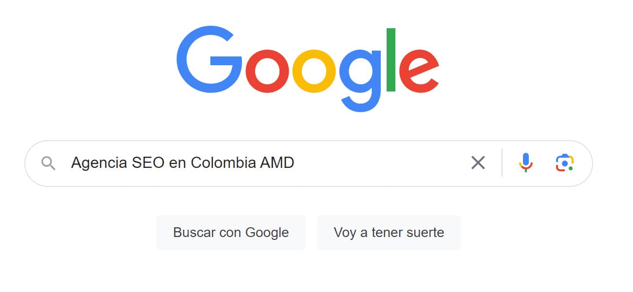 Agencia seo amd